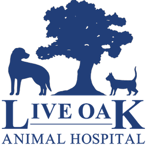 Live Oak Animal Hospital