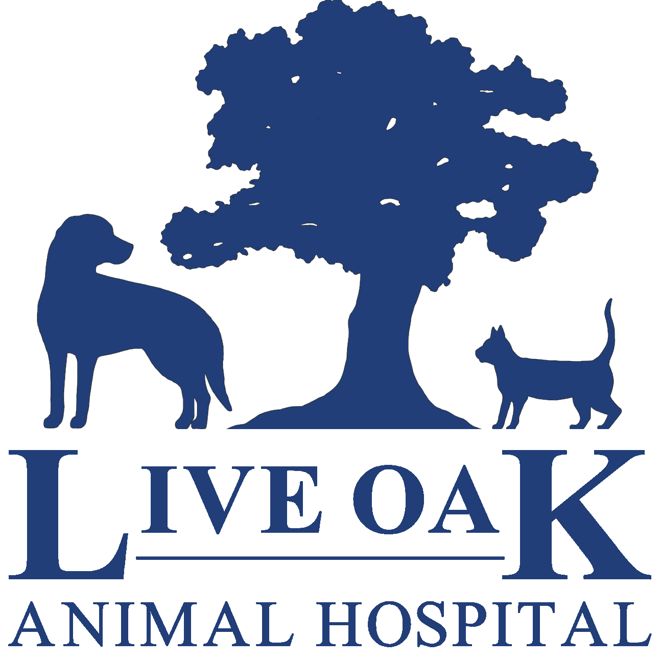 Michelle Kirkland | Live Oak Animal Hospital